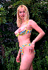 cluida029.jpg